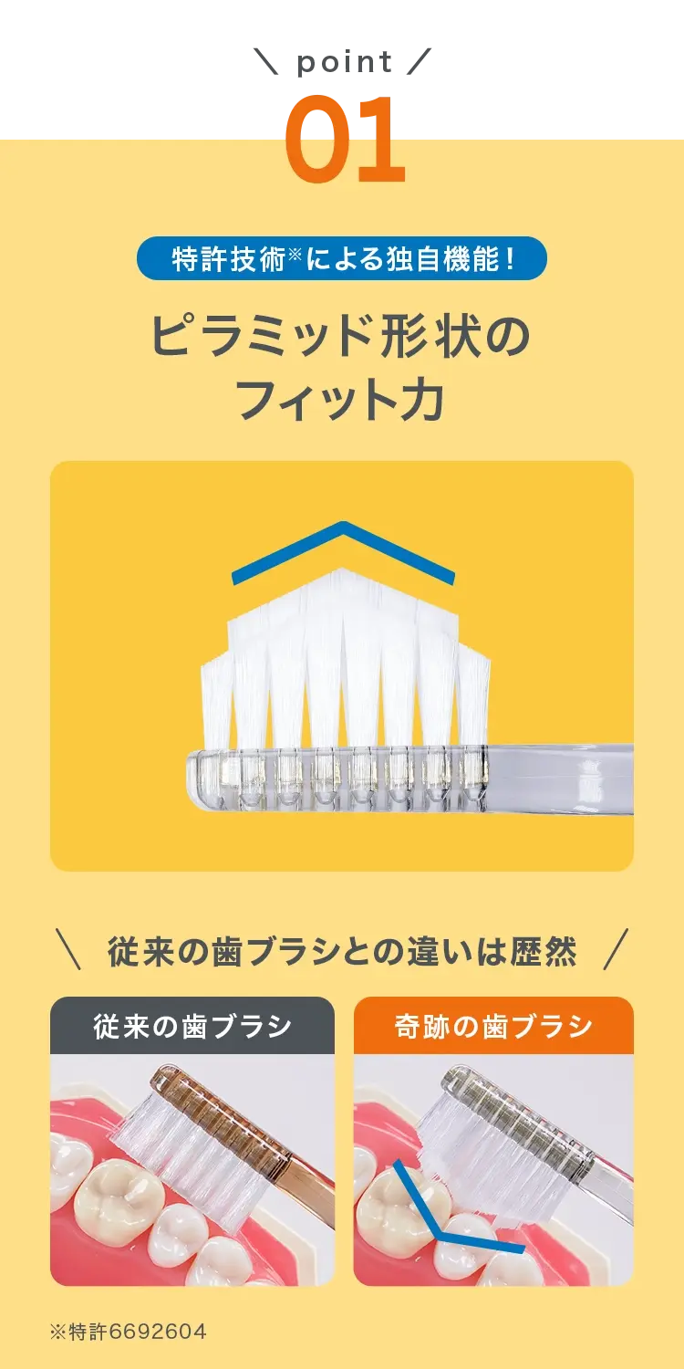 kiseki