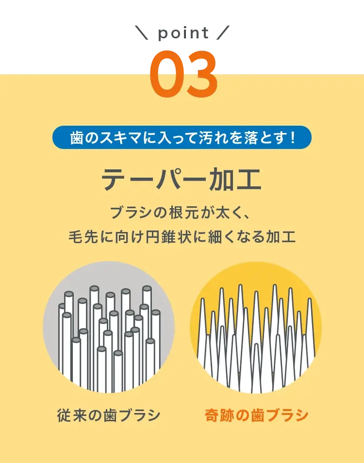 kiseki