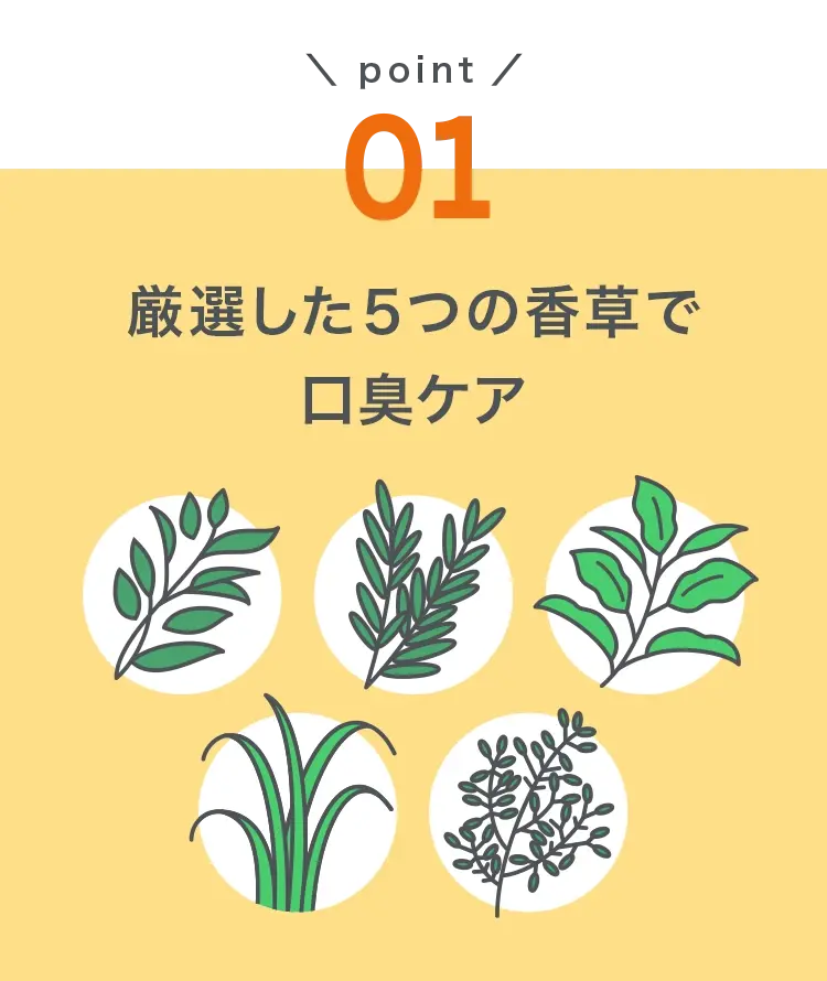 kiseki