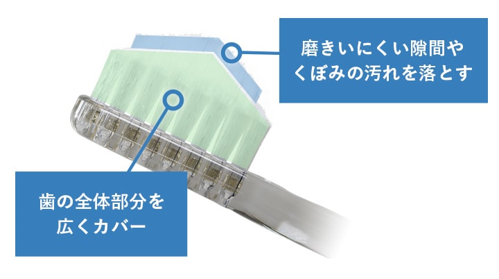 ダブル植毛ダブルカットの構造