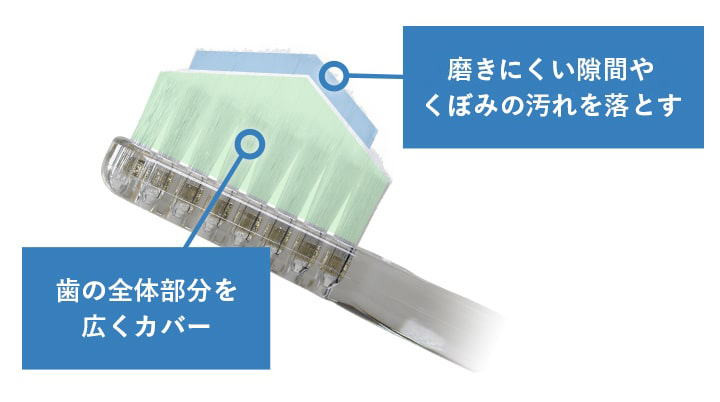 ダブル植毛ダブルカットの構造